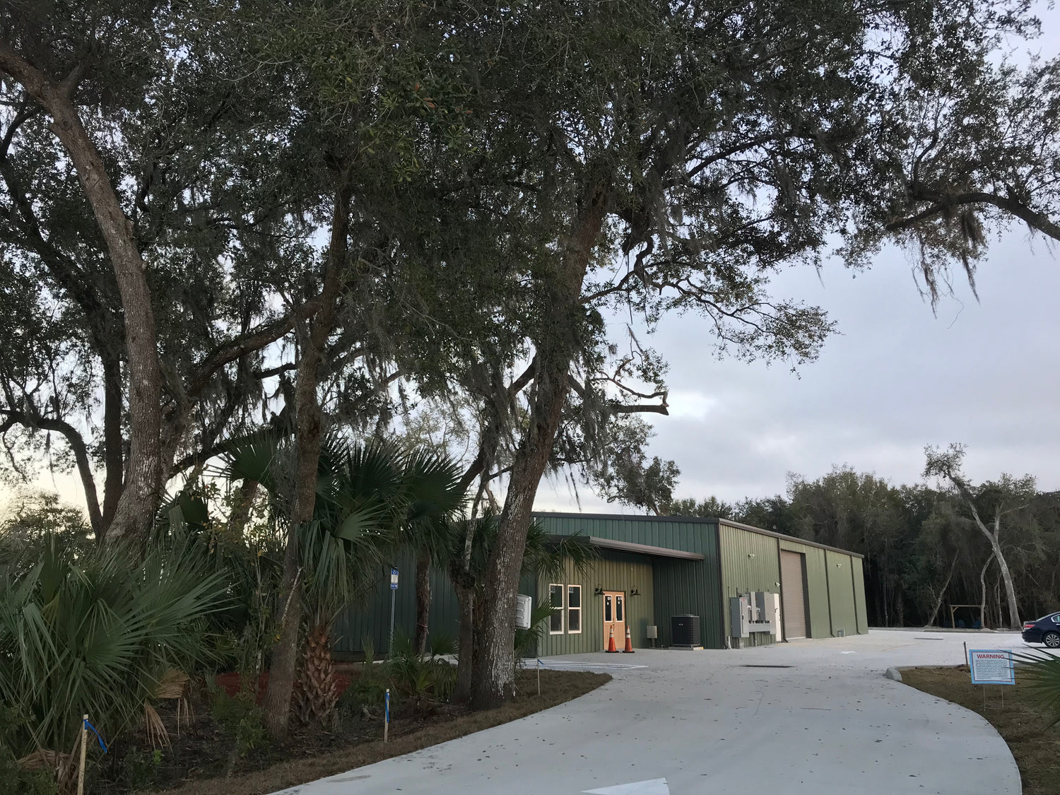 Rise Yaupon's Making Moves!