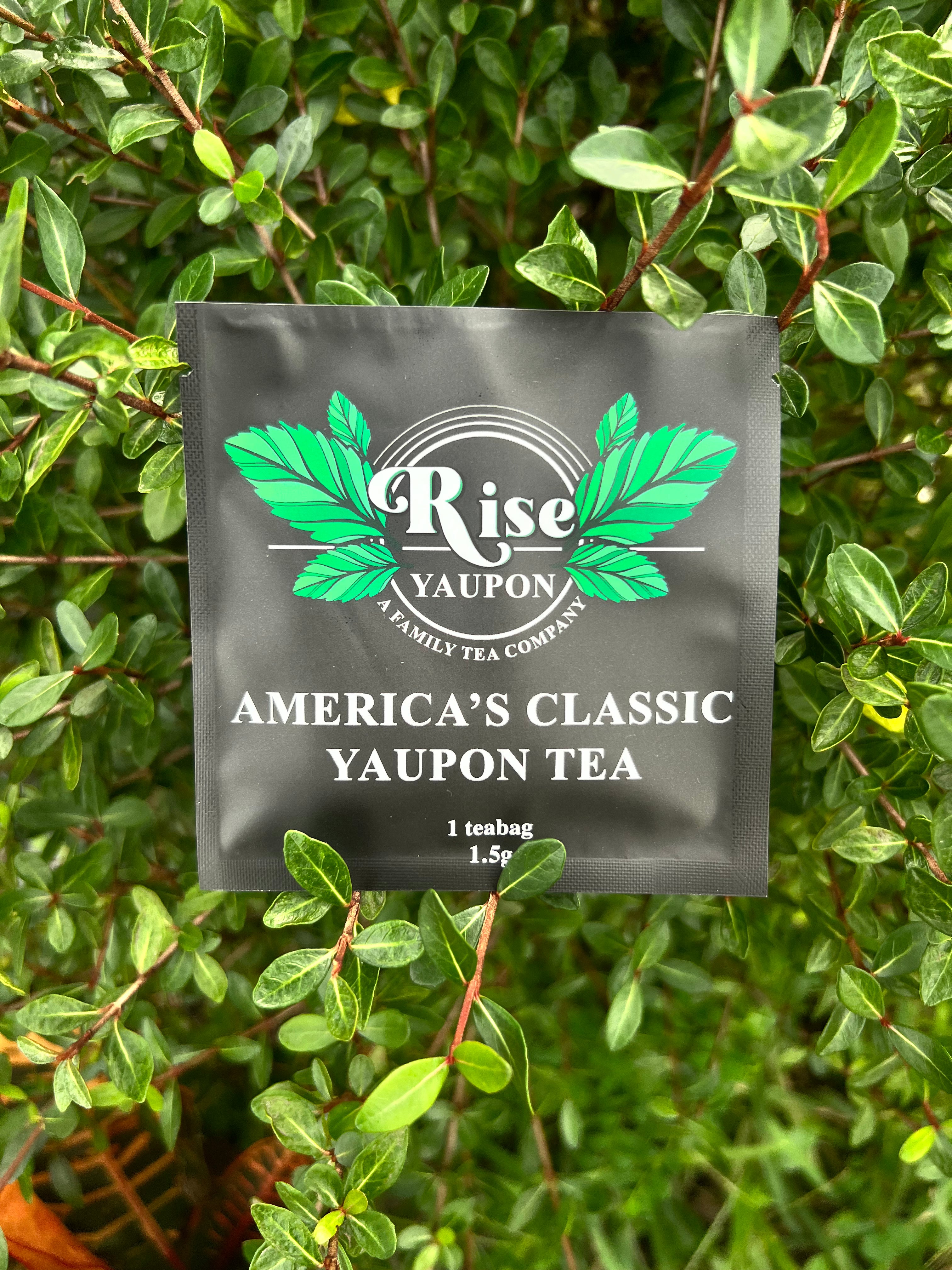Rise Yaupon 4-Blend Sampler Pack