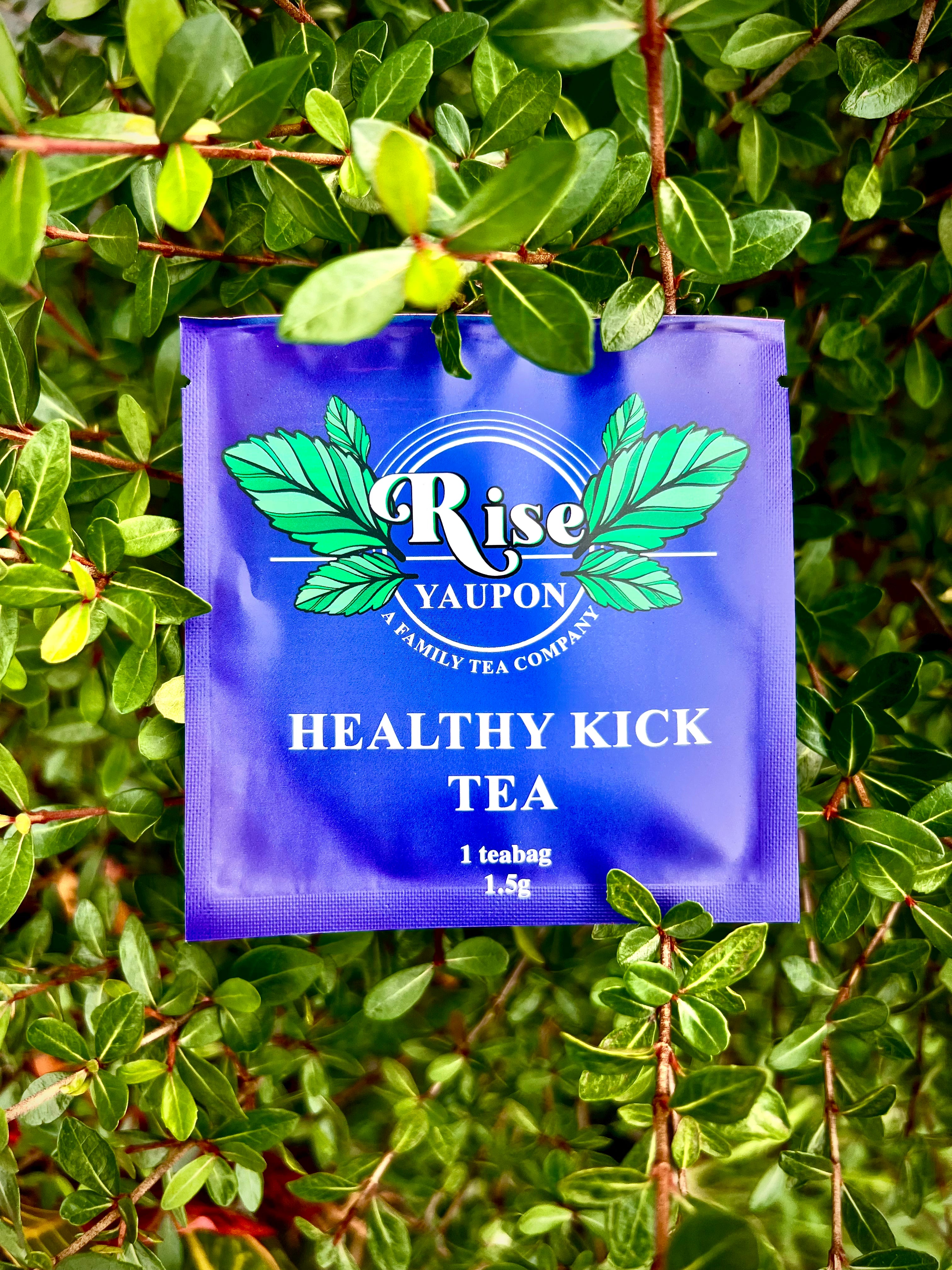 Rise Yaupon 4-Blend Sampler Pack