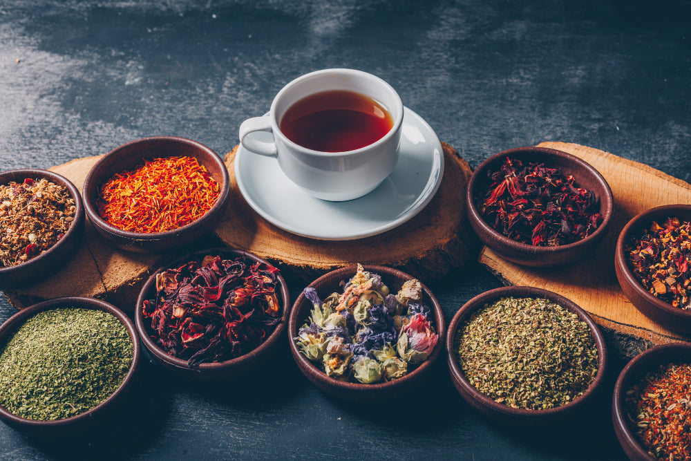 The Untold Story of Yaupon Tea: Unraveling a Historical Slander